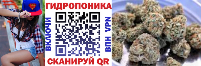 Бошки Шишки семена где можно купить ссылка на мегу как войти Сясьстрой